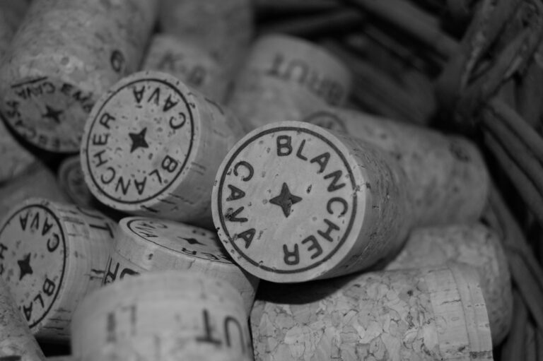 fotos varies 2012 747 768x511