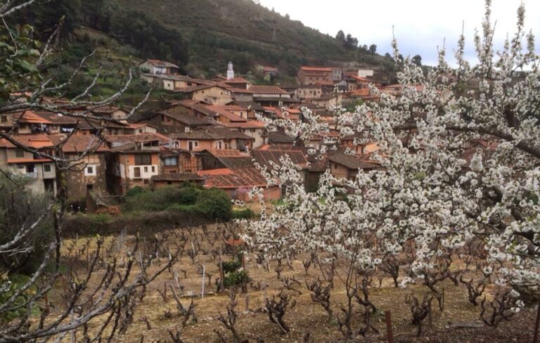 1010344 10202623548883275 122219963 n 768x488