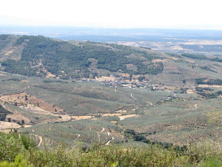 217951 4054318309689 1069078768 n 768x576