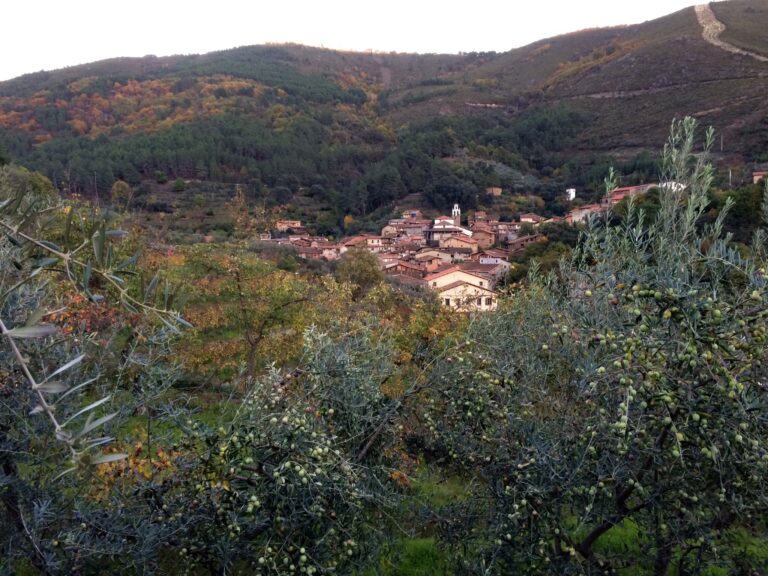 739455E9 0021 4380 BA39 BBC19C271802 768x576