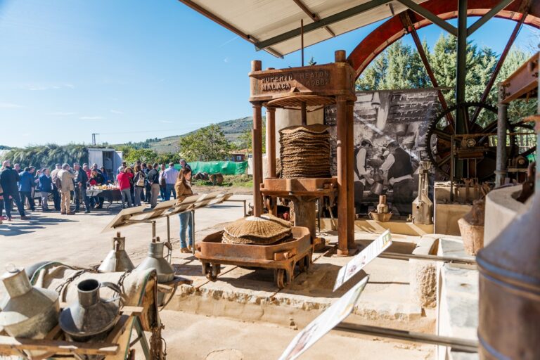 86b49fc5 dcf1 4f7f 9e0c e56b558cde39 768x512