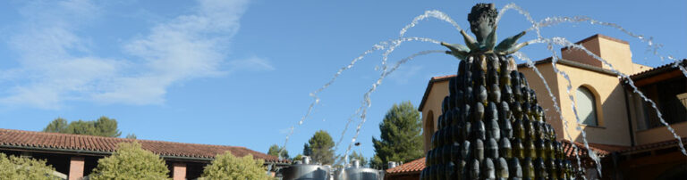 Agusti Torello Mata 2 768x202