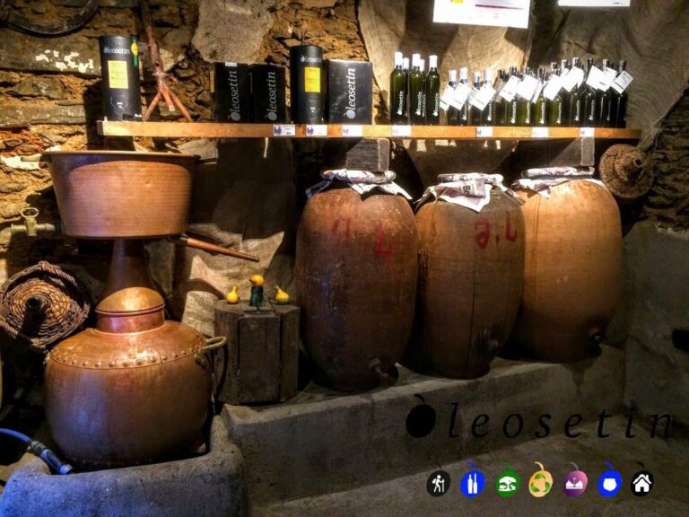 Bodega Oleosetin 768x576