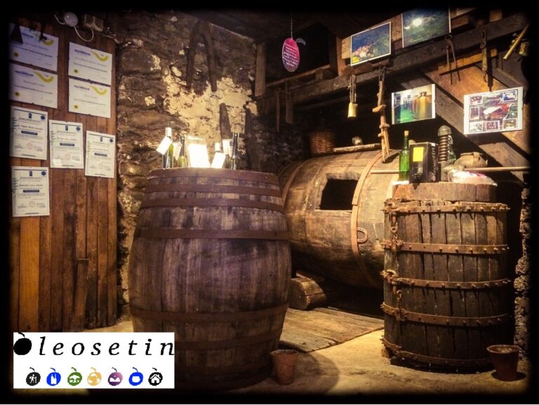 Bodega Oleosetin. 768x577