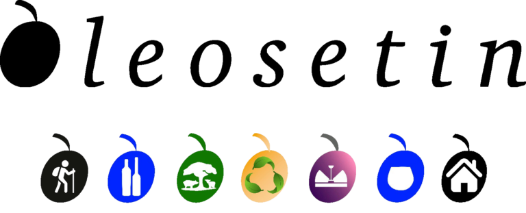 LOGO GENERAL png 1 768x311