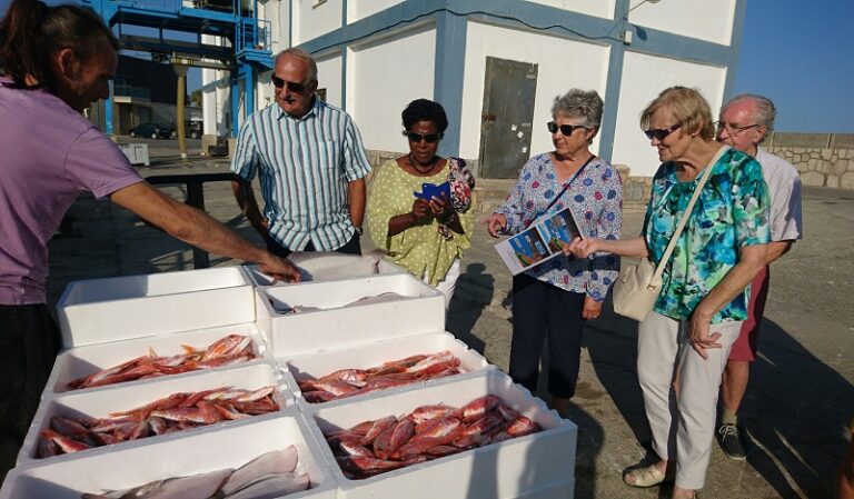 Ruta marinero en tierra turismo marinero costa del sol 768x449