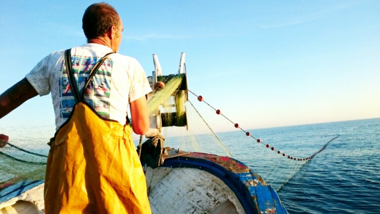 diversificacion turismo marinero costa del sol 1 768x432