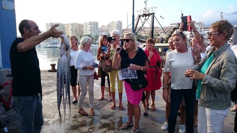 excursiones para grupos en estepona costa del sol turismo marinero costa del sol 768x432