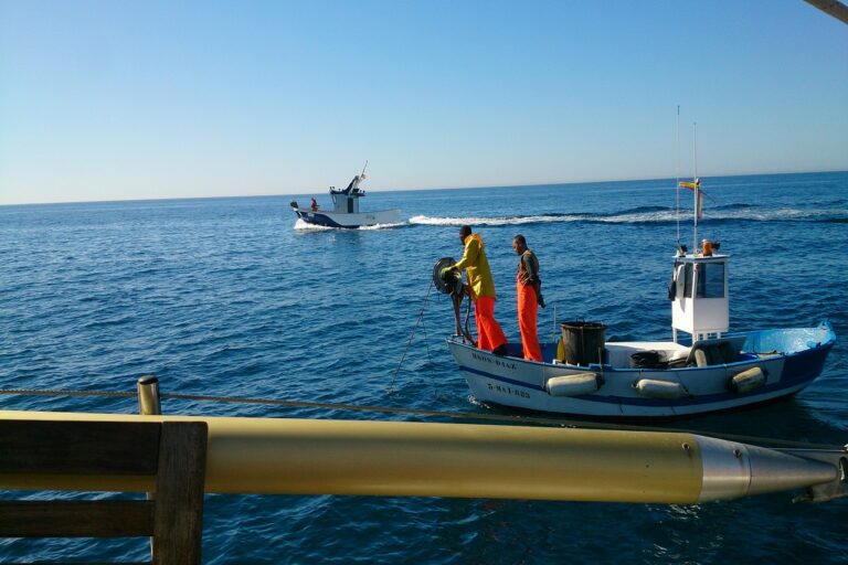 ruta pescadores excursiones en estepona turismo marinero costa del sol 768x512