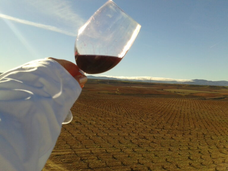 2012 12 28 12.48.34 768x576