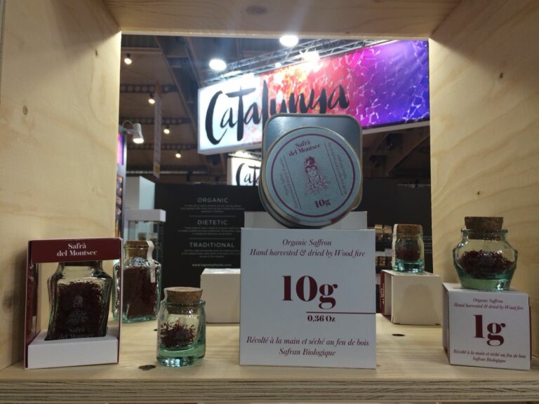 966b8a84 668a 480d 92ec 276345c57052 768x576