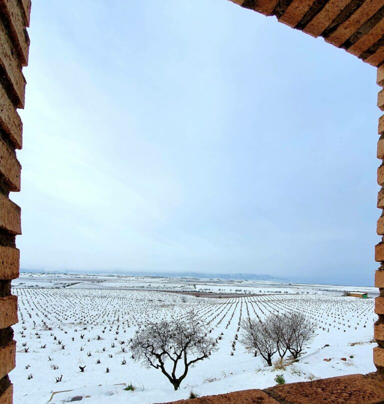 IMG 20200123 WA0010 768x808