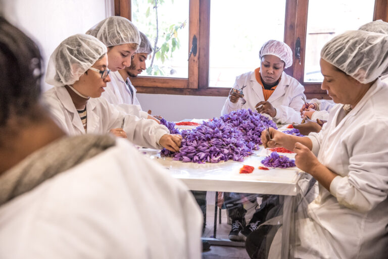 Safra del Montsec 0335 768x513