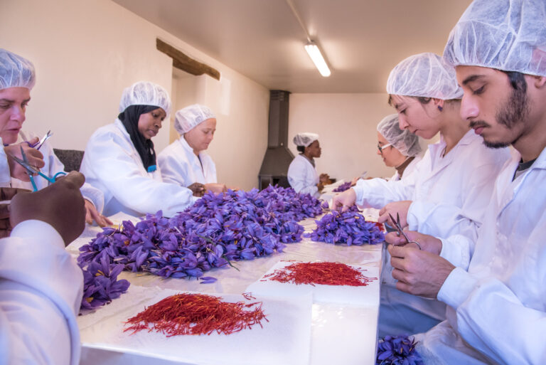 Safra del Montsec 0364 768x513