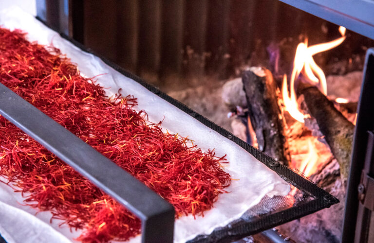 deshidratacio 768x500