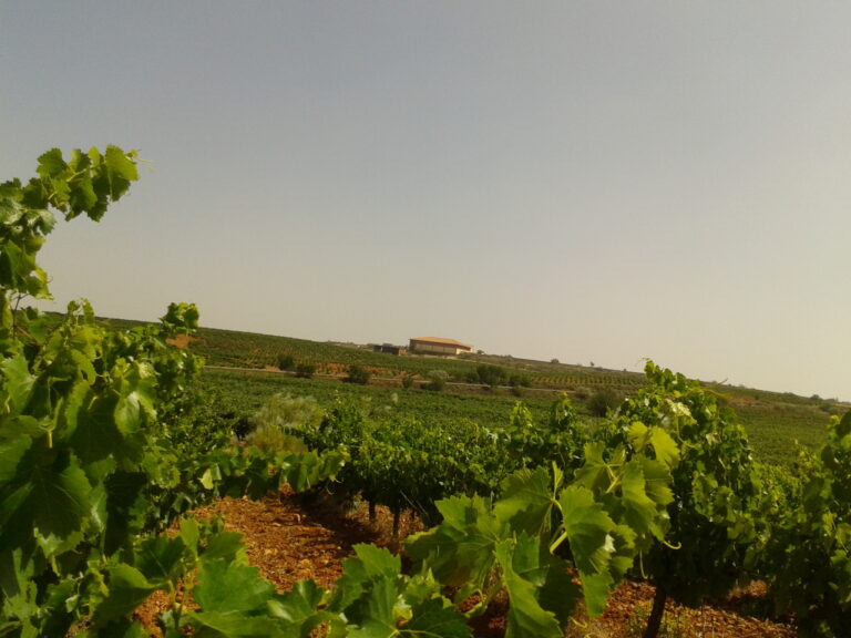 vistas desde La Matea 768x576