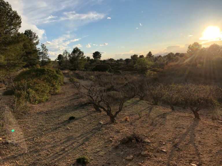 2e66a909 6c12 4784 bd1b 5008914fb659 768x576