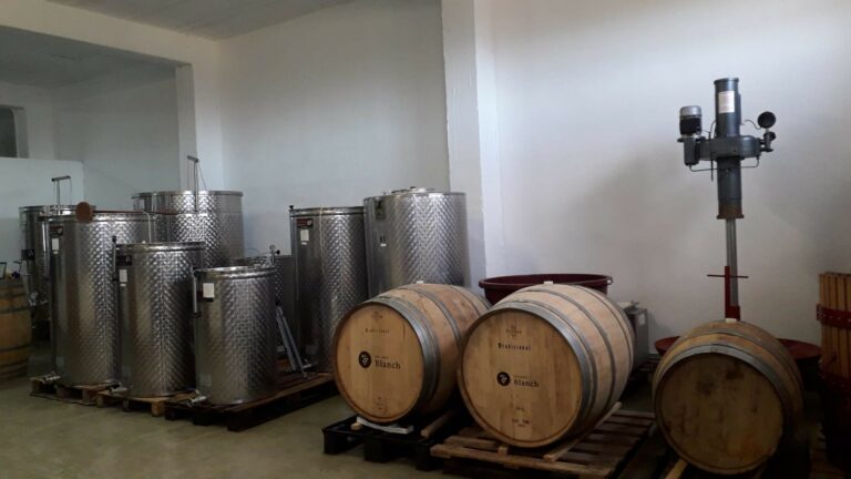 73408058 a7ac 4049 9237 86b2cd879208 768x432