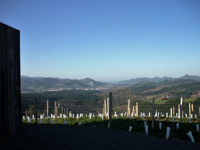Vistas desde la Txoza Vistas desde la Txoza