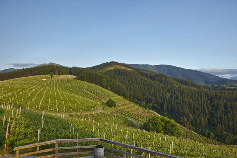 Vistas desde el Salón Social Vistas desde el Salón Social