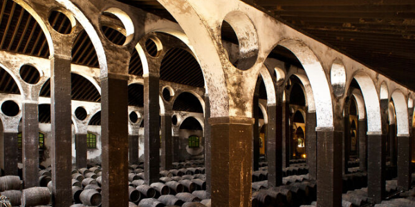 Amantes del vino, no olvideis visitar Jerez !