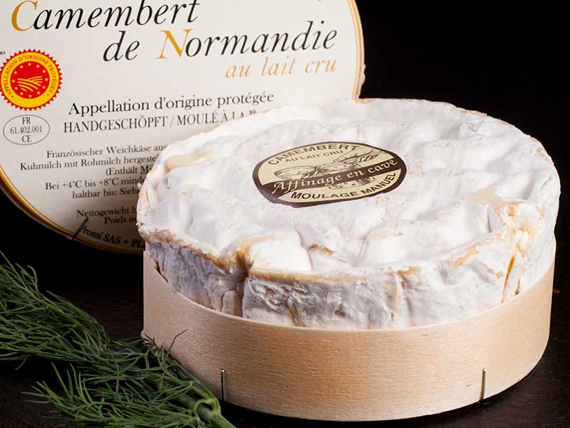 queso camembert francés
