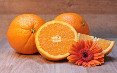 La Ruta de la Naranja, una aromática experiencia