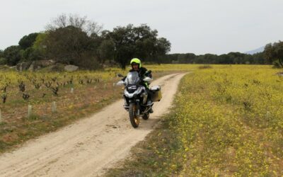 Wine Rider, en moto al corazón del vino