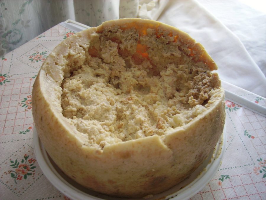 Casu marzu: el queso ilegal de los gusanos
