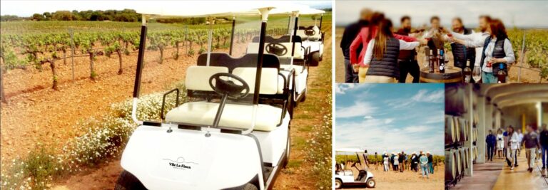 EcoMZ92WsAAAKZF 768x267