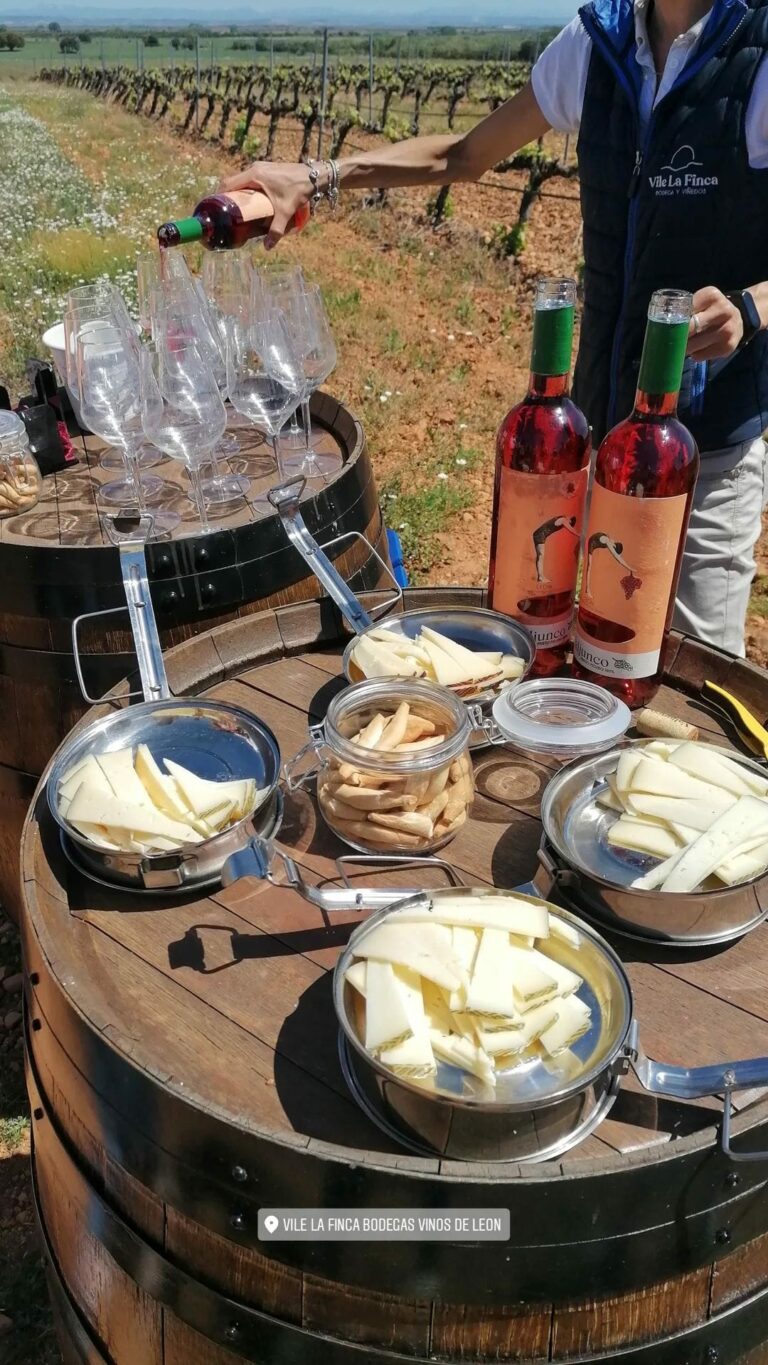 IMG 20220509 WA0011 768x1365